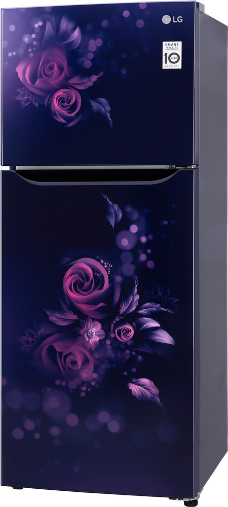 Lg double door fridge colours sale