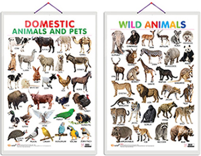 Wild Animals Name Teaching Chart