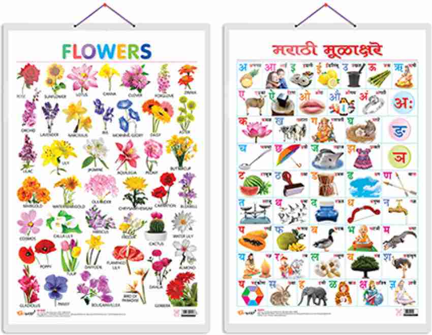 Early Learning Educational Charts For