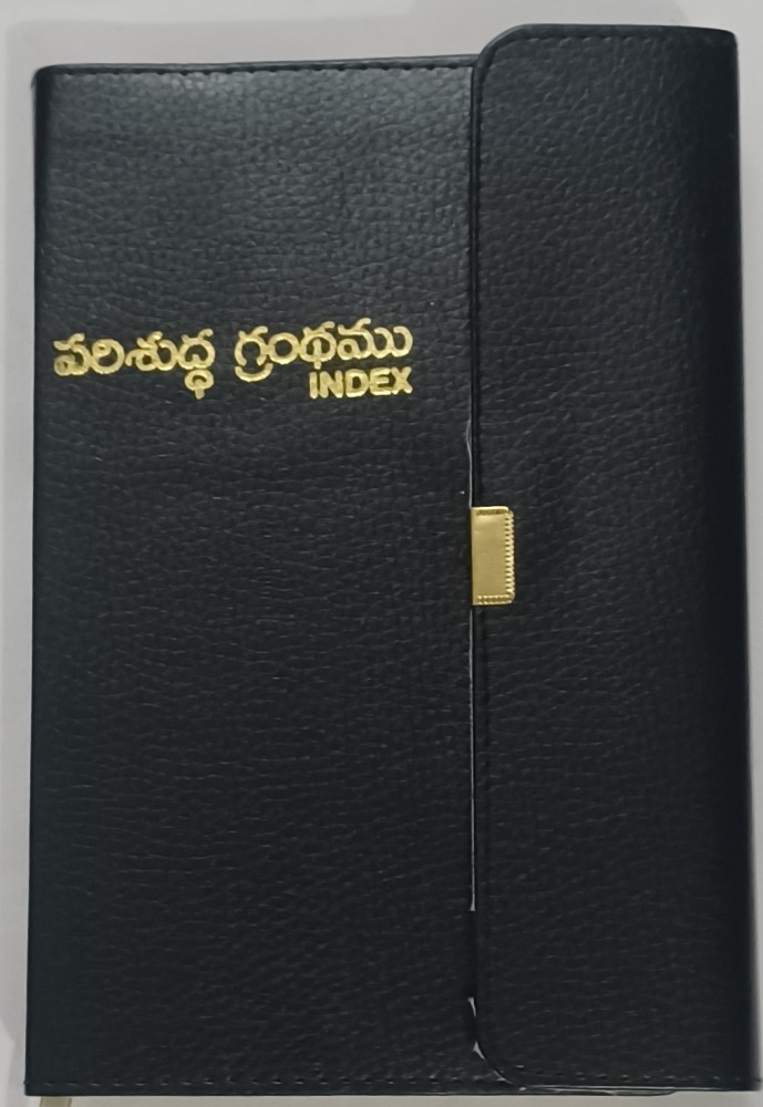 Telugu deals bible online