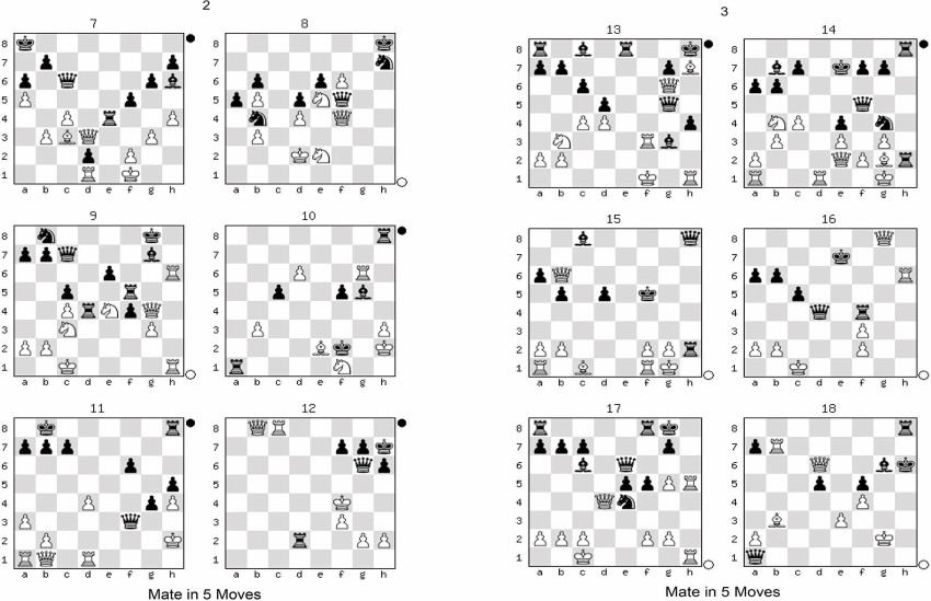 Chess Tactics Volume 1, 2, 3 & Mate In 5 Moves - Double Attack, Pin, Fork  Etc - 12 Topics And 600 Puzzles To Practice And Mate In 5 228 Puzzles With