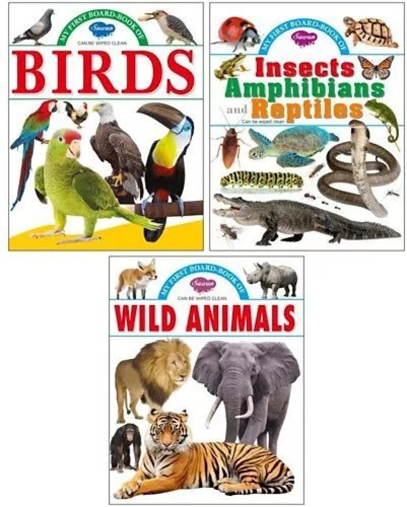 Manoj Publications Wild Animals: Sawan: : Books