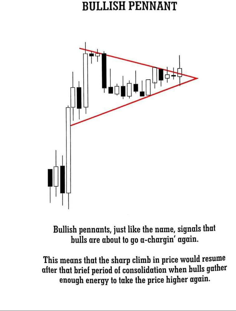 Candlestick chart books store