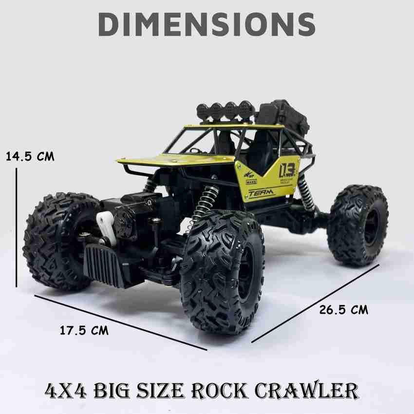 Big size rc cars online