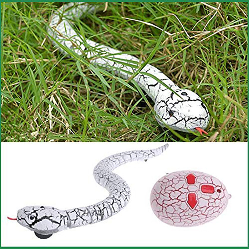 Remote control snakes for sale clearance