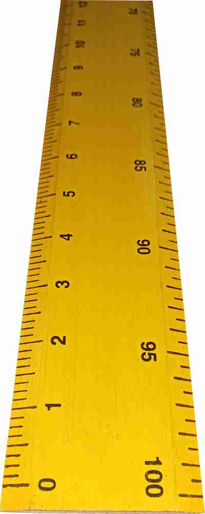 5 2025 foot ruler