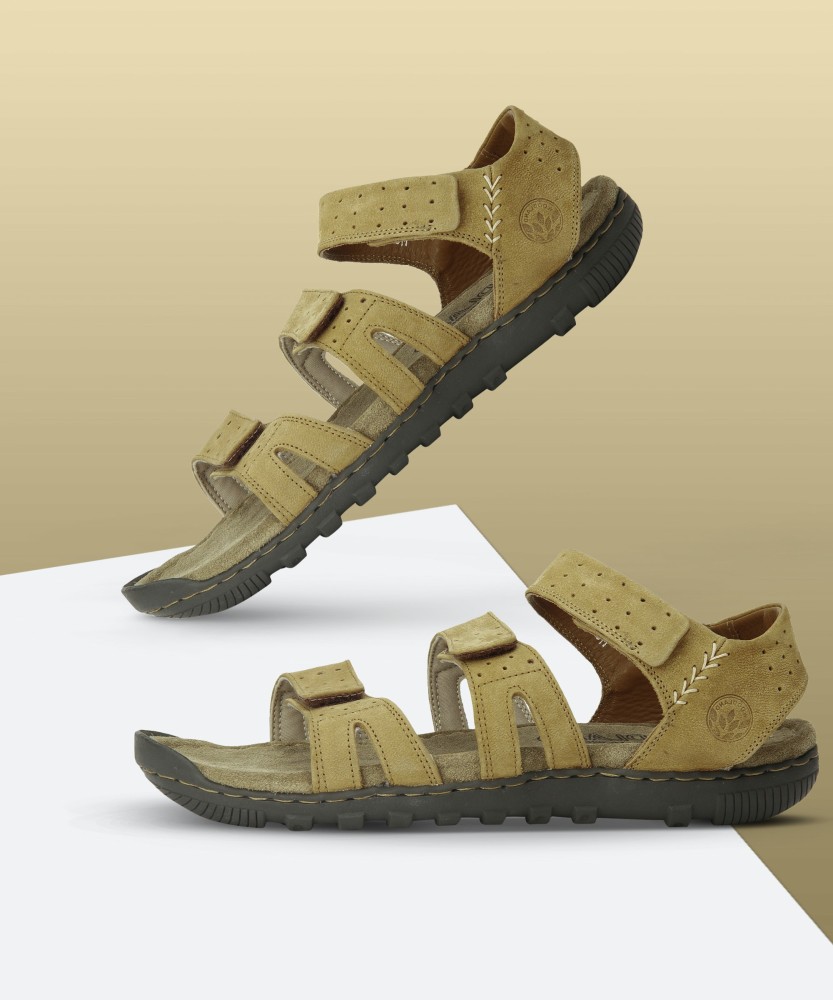Buy Olive Green Casual Sandals for Men by WOODLAND Online | Ajio.com