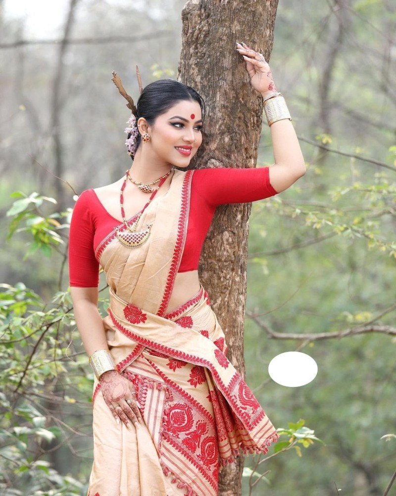 Mekhla hotsell saree price