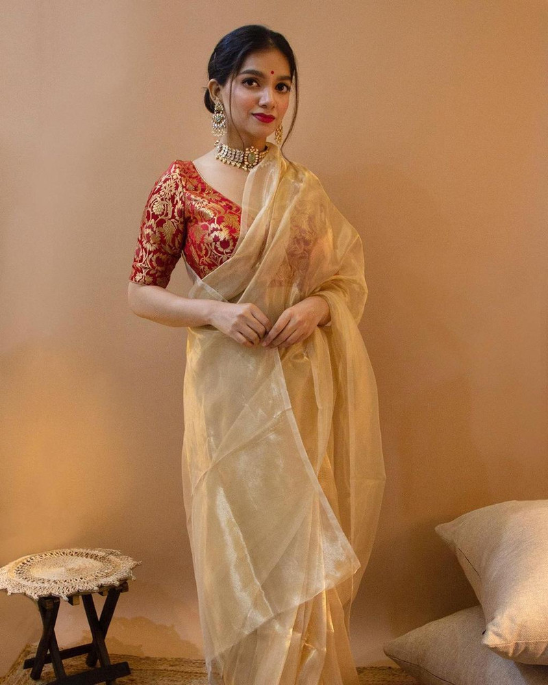 Plain organza sarees online deals