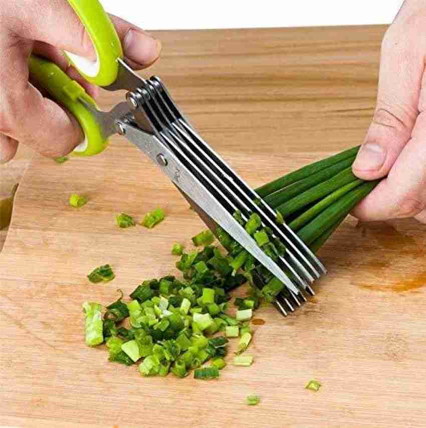 Five Blade Herb Scissors with Cover, Cutlery