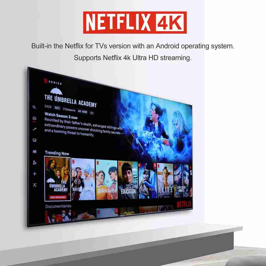 HAKO Pro Android TV Box Netflix Certified 4K Streaming Media Player  2GB+8GB/16GB Amlogic