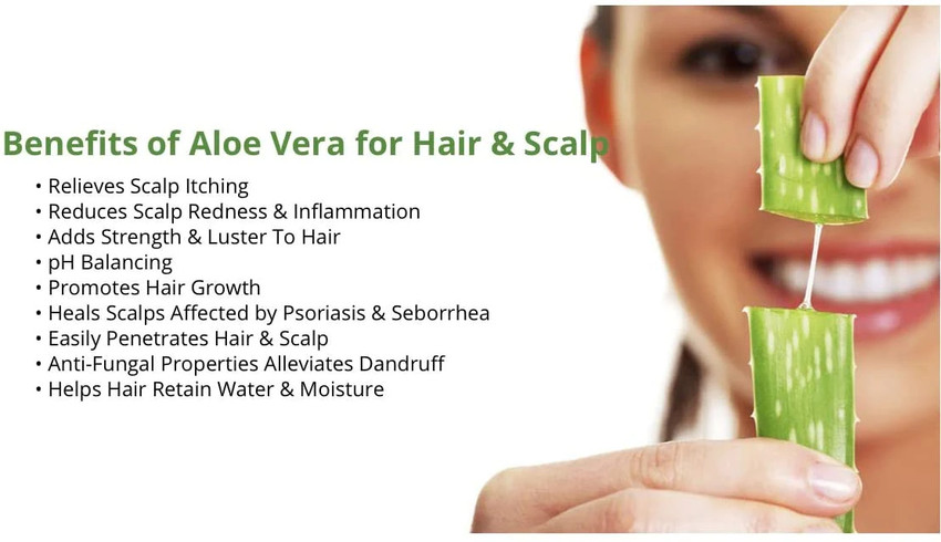 Samrools Aloe Vera Shampoo For Men Women Price in India Buy Samrools Aloe Vera Shampoo For Men Women Online In India Reviews Ratings Features Flipkart
