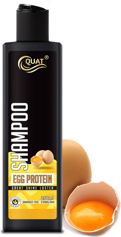 Aggregate more than 140 egg white for hair best tnbvietnam.edu.vn