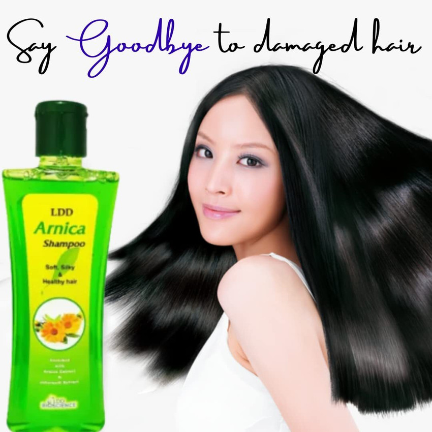 Top 147+ arnica hair scalp shampoo latest camera.edu.vn