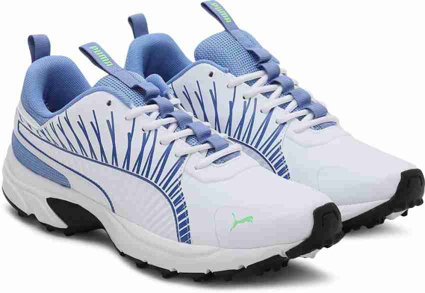 Puma cricket hot sale shoes for men