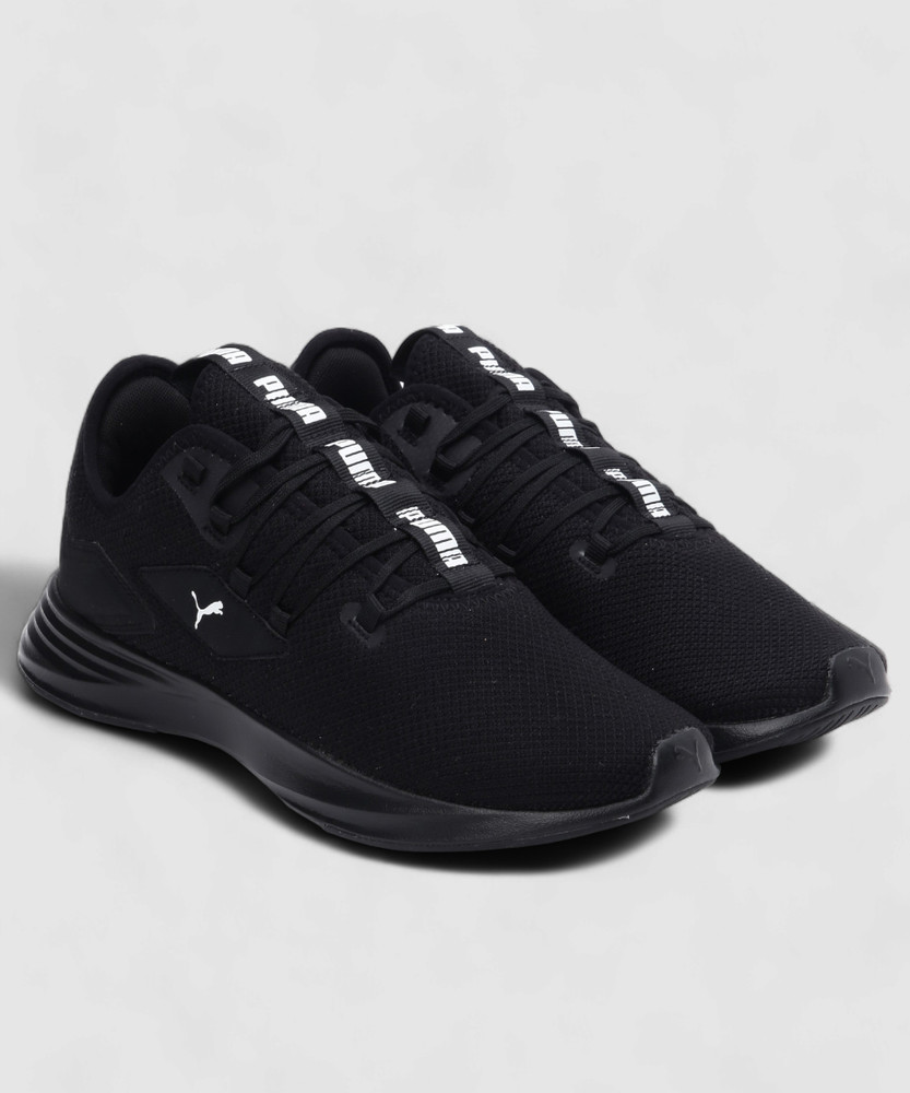 Puma tropus 2025