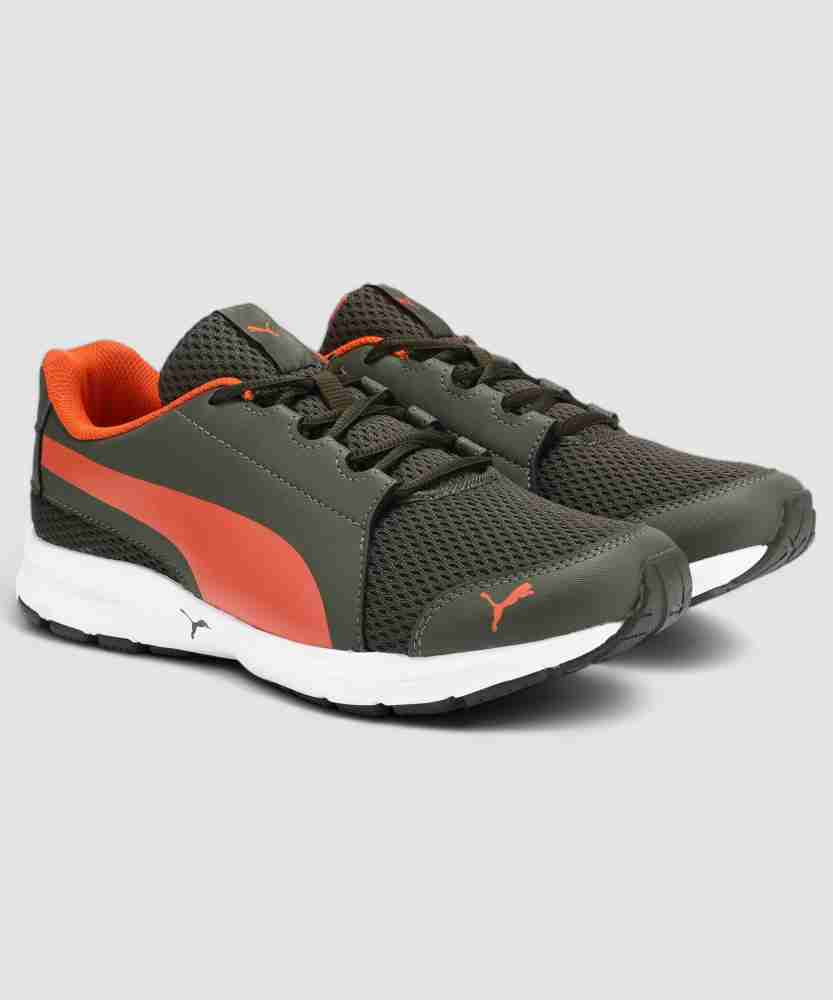 Puma beast xt idp online