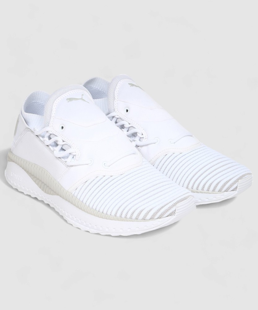 Puma tsugi shinsei evoknit hotsell