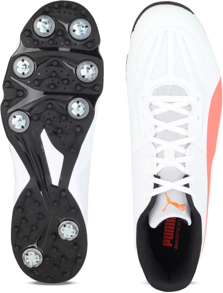 Evospeed 360.1 cricket spike shoes hot sale