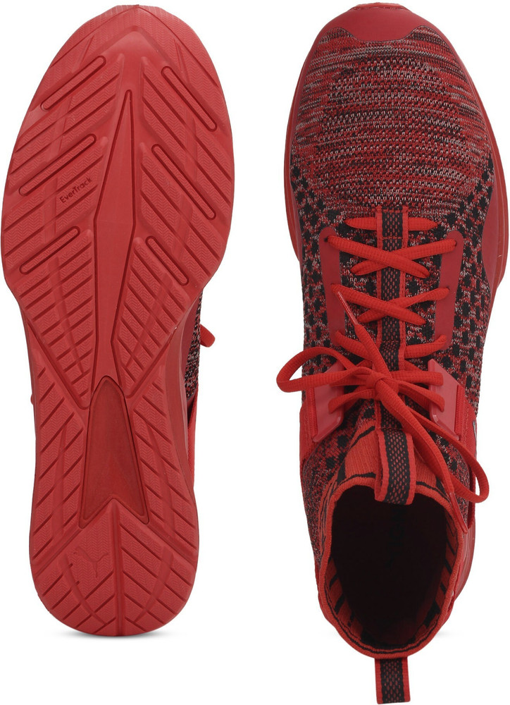 PUMA IGNITE EVOKNIT Running Shoes For Men Buy High Risk Red Puma Black High Risk Red Color PUMA IGNITE EVOKNIT Running Shoes For Men Online at Best Price Shop Online for Footwears