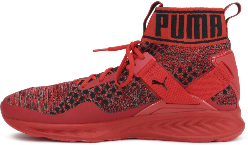 Puma ignite evoknit for sale store