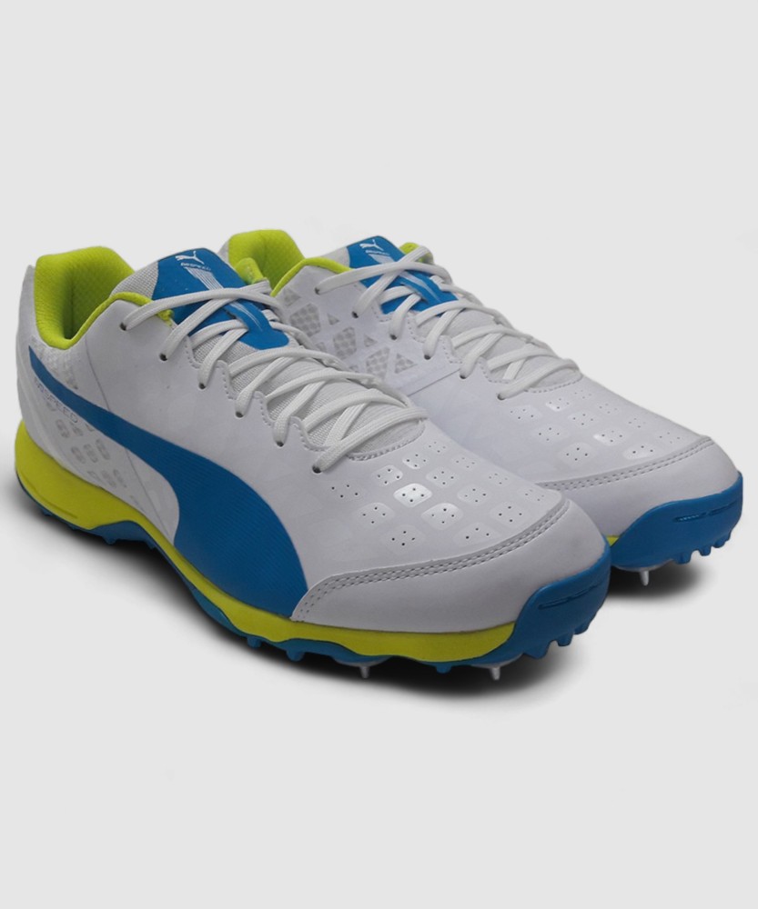 Puma evospeed 1.4 cricket shoes online