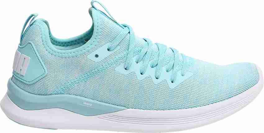 Ignite flash evoknit women's running shoes shop