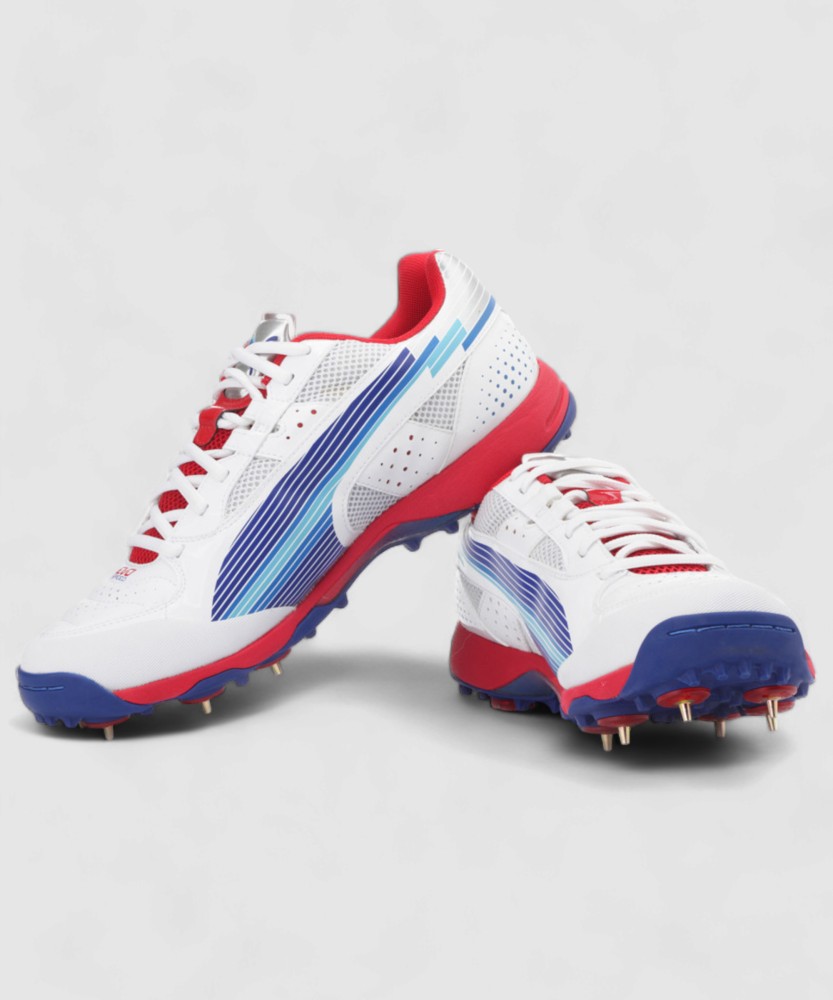 Puma evospeed cricket hotsell