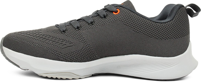 Skechers 1551 2025