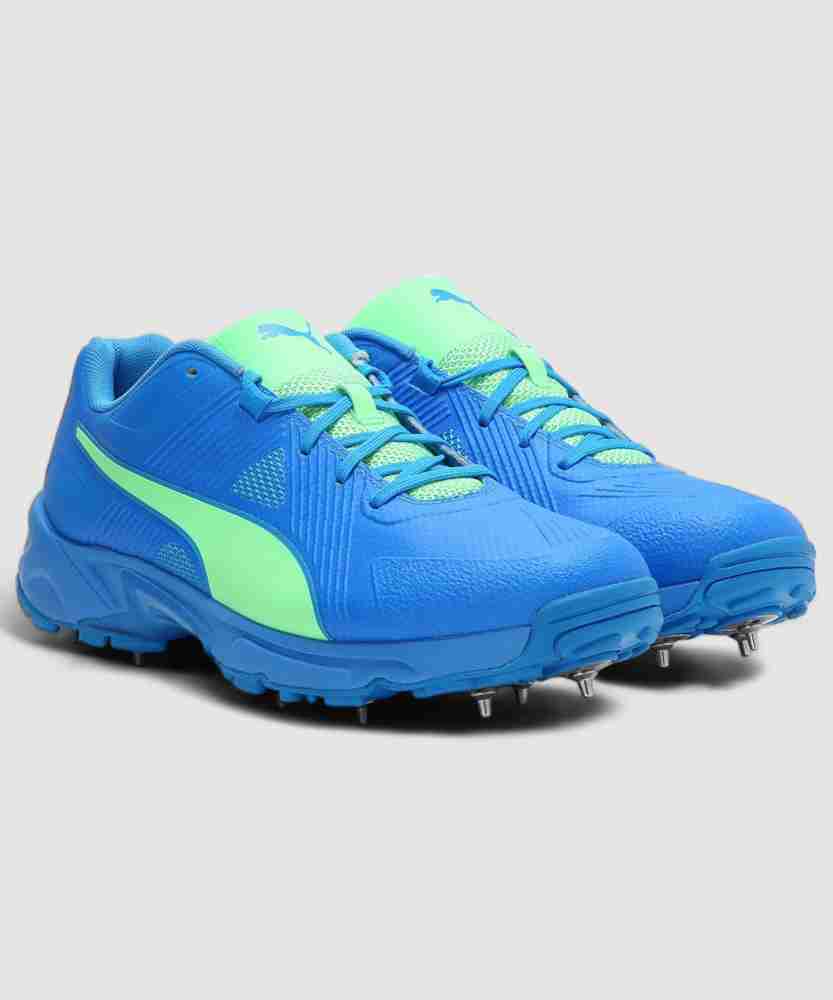 PUMA Spike 19.1 Cricket Shoes For Men