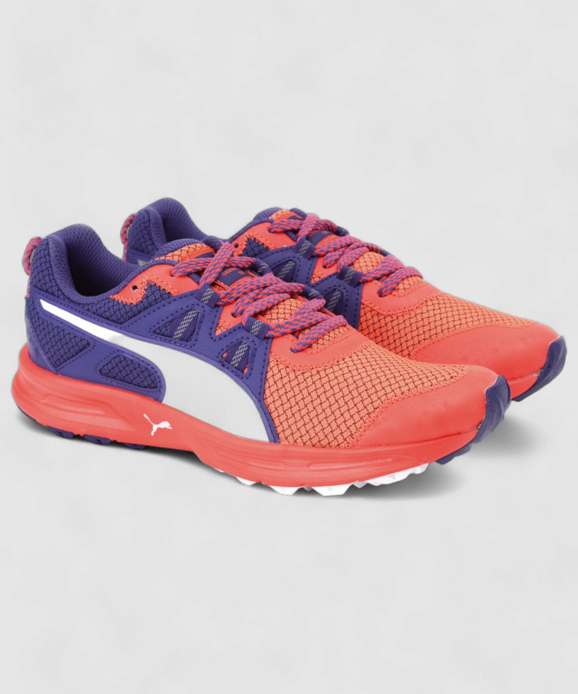 PUMA Descendant TR Wn Training Shoes For Women Buy Red Blast Royal Blue Puma White Color PUMA Descendant TR Wn Training Shoes For Women Online at Best Price Shop Online for Footwears