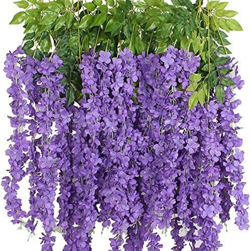 well art gallery Artificial Wisteria Vine Ratta for Wedding Party Home  Decor (Purple) Pack of 12 Purple Westeria Artificial Flower Price in India  - Buy well art gallery Artificial Wisteria Vine Ratta