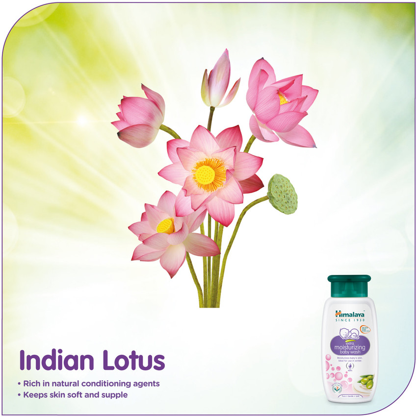 Lotus baby wash clearance