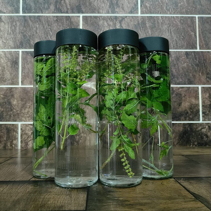 https://rukminim2.flixcart.com/image/850/1000/xif0q/shopsy-bottle/d/1/o/750-glass-food-grade-water-bottle-airtight-with-leak-proof-black-original-imagrk24gpqj42my.jpeg?q=90