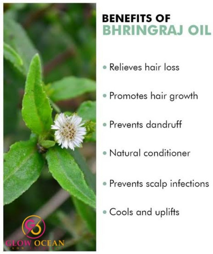 Bhringraj for hair discount