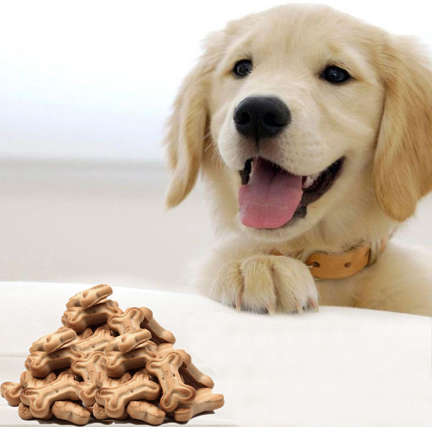 Retriever dog biscuits sale