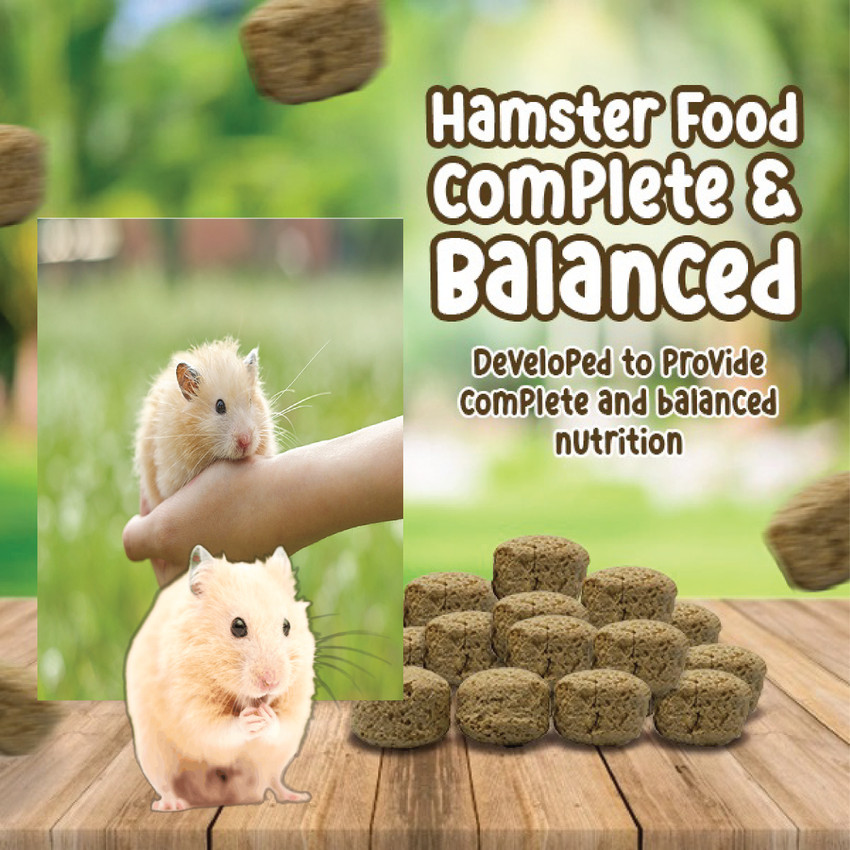 Grow Basket Pellets Food for all Hamster breeds Syrian Dwarf Chinese Protein Nutritious Shrimp Hamster Treat Price in India Buy Grow Basket Pellets Food for all Hamster breeds Syrian Dwarf Chinese