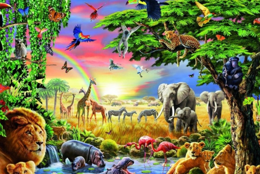 Jungle Animals Wallpapers  Wallpaper Cave