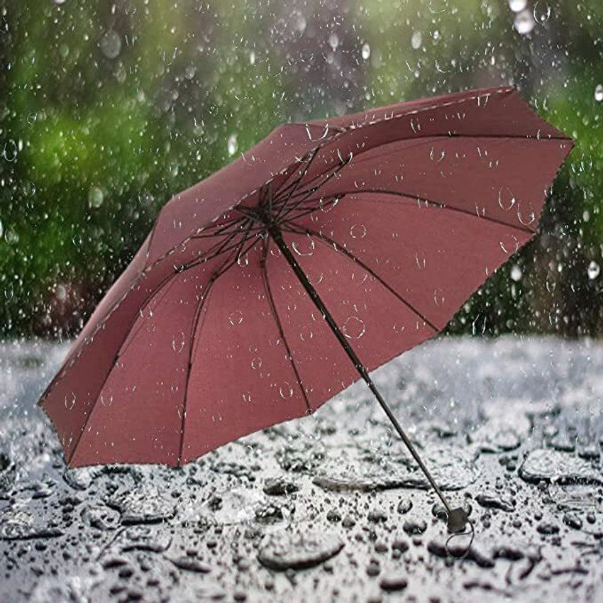 Cool umbrellas online for guys