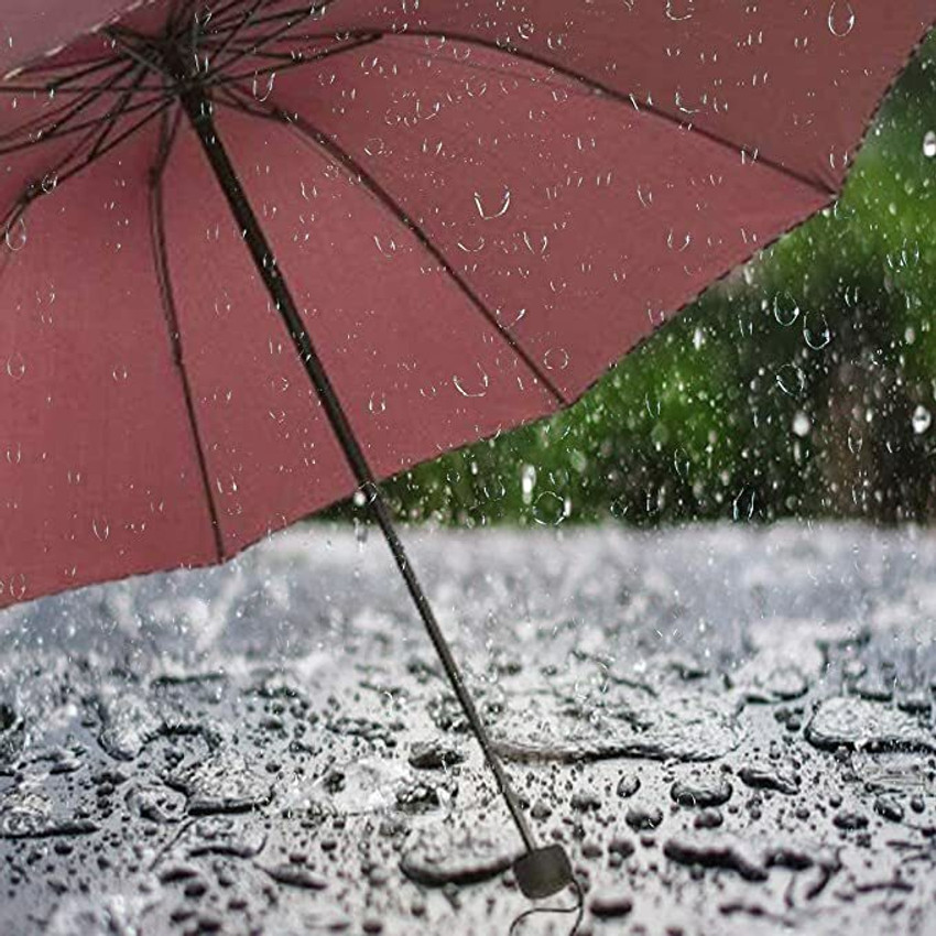 Cool umbrellas for best sale guys