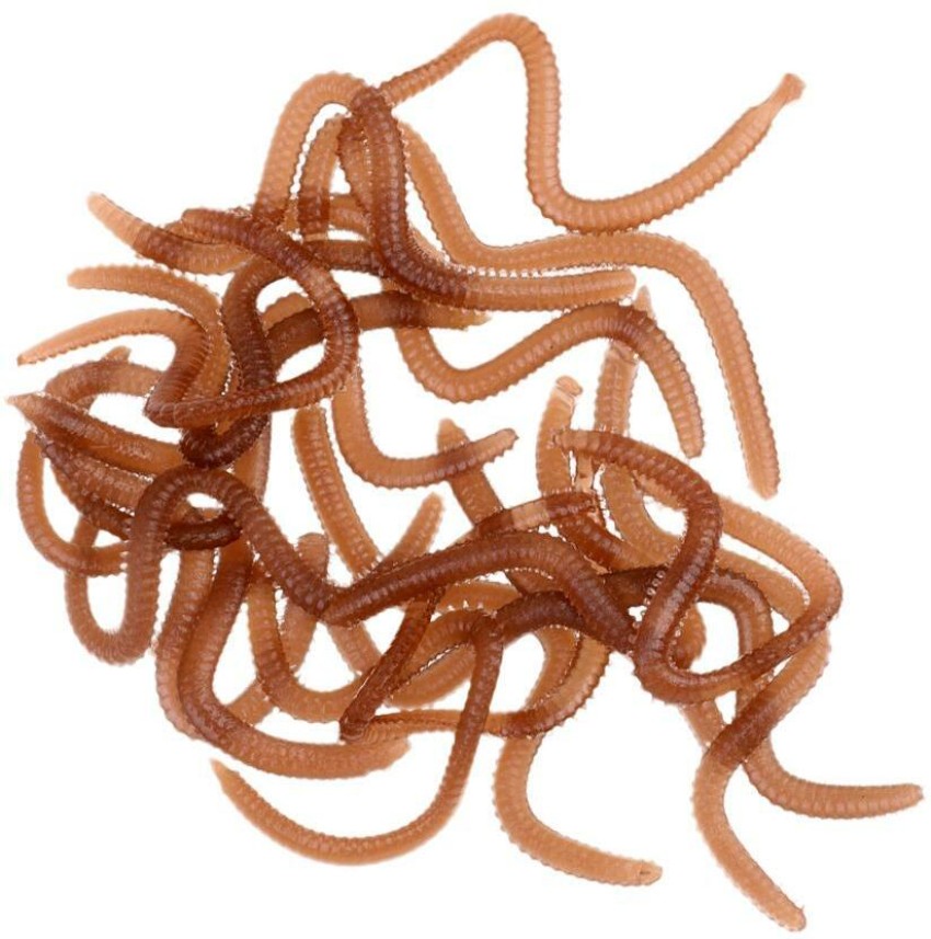 Calandis 20Pcs/box Artificial 9cm Earthworm Clam Worms Soft Baits Smell  Fishing Lures Decorative Showpiece - 5 cm Price in India - Buy Calandis  20Pcs/box Artificial 9cm Earthworm Clam Worms Soft Baits Smell