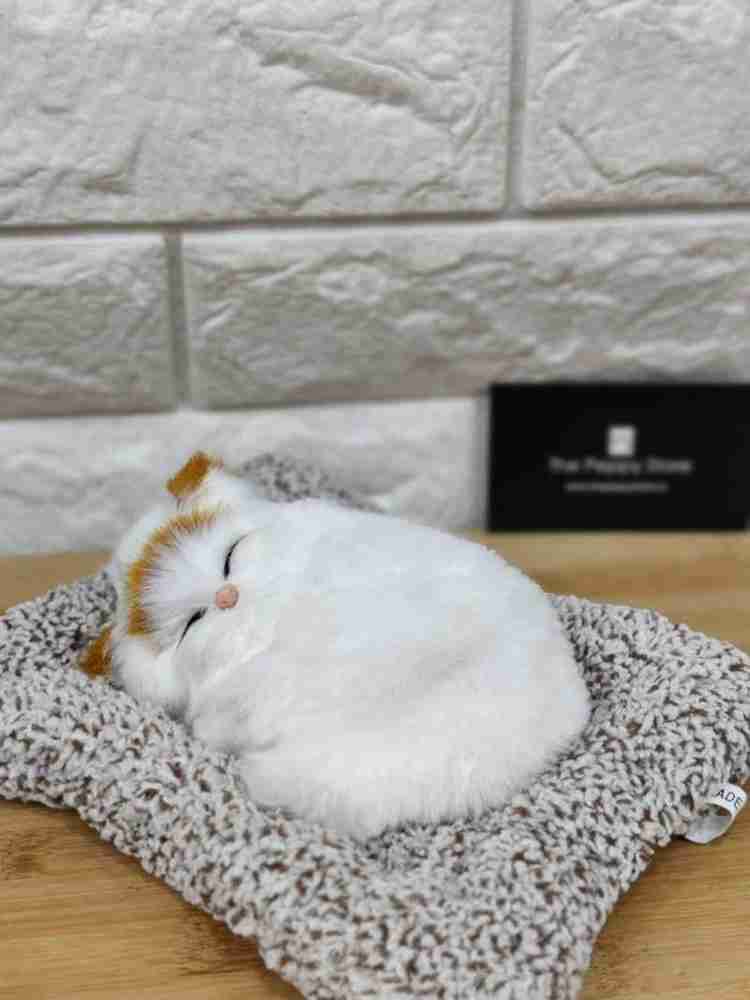 Hoodinter Dashboard Decor Sleeping Cat Interior Decor Soft Toy Showpiece For Car Home Decorative Showpiece 15.5 cm Price in India Buy Hoodinter Dashboard Decor Sleeping Cat Interior Decor Soft