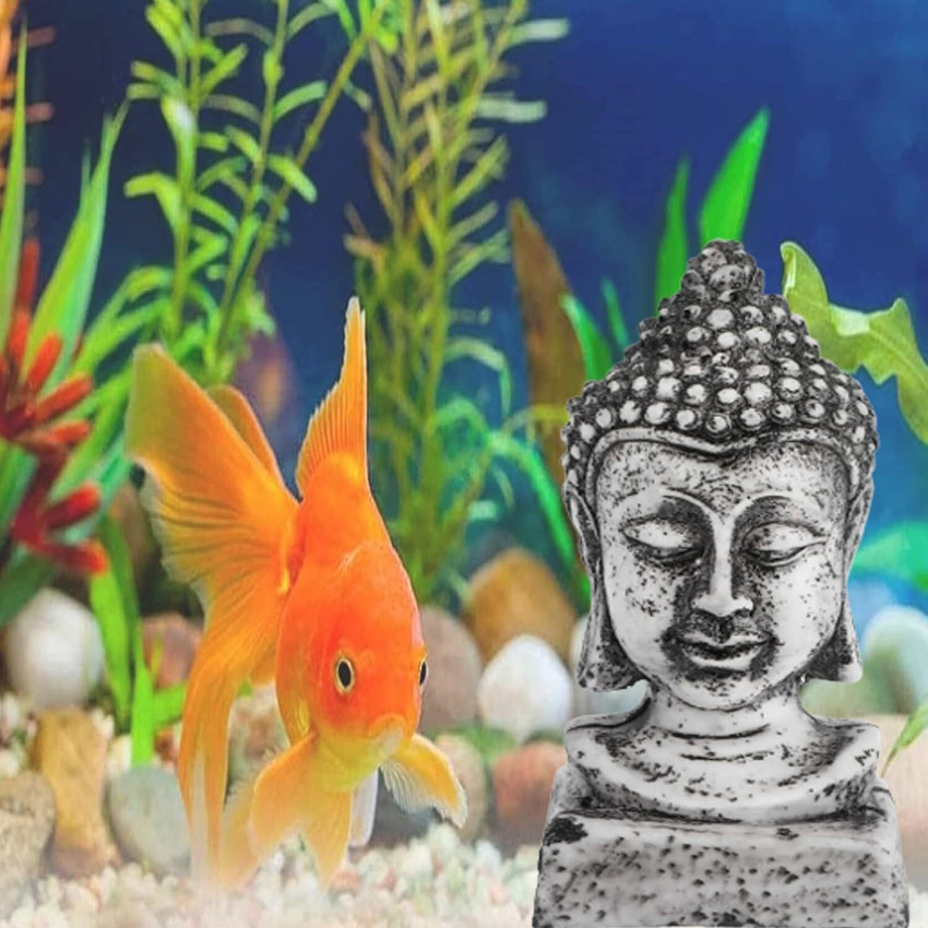 Hukimoyo Aquarium Fish Tank Accessories for Decoration Statues Show Piece Lord Buddha Decorative Showpiece 14 cm Price in India Buy Hukimoyo Aquarium Fish Tank Accessories for Decoration Statues Show