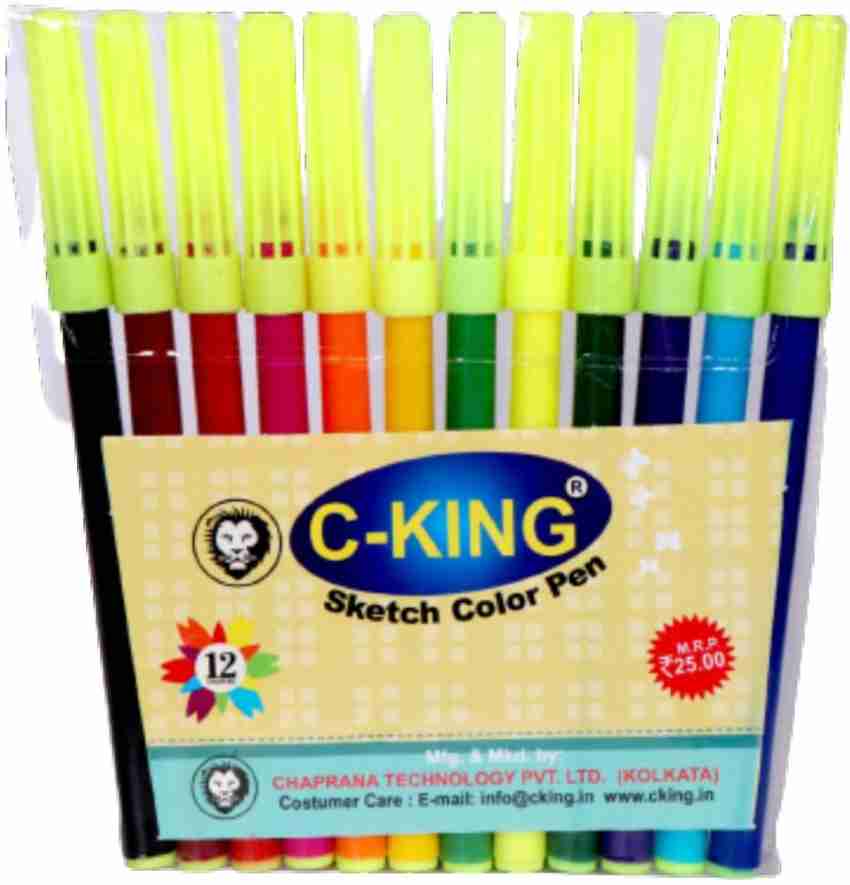 Camlin Bright & Vibrant Color Bold Tip Sketch Pens with Free Stencil( 24  Shades)