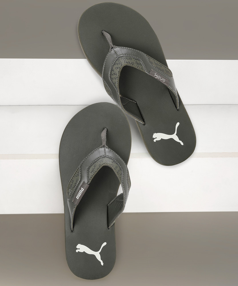 puma in slippers