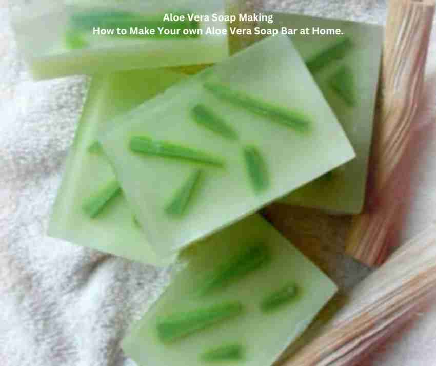 Aloe Vera & Olive Oil Melt and Pour Soap Base Lot of 2 & DeltaSoap Kit with Mold