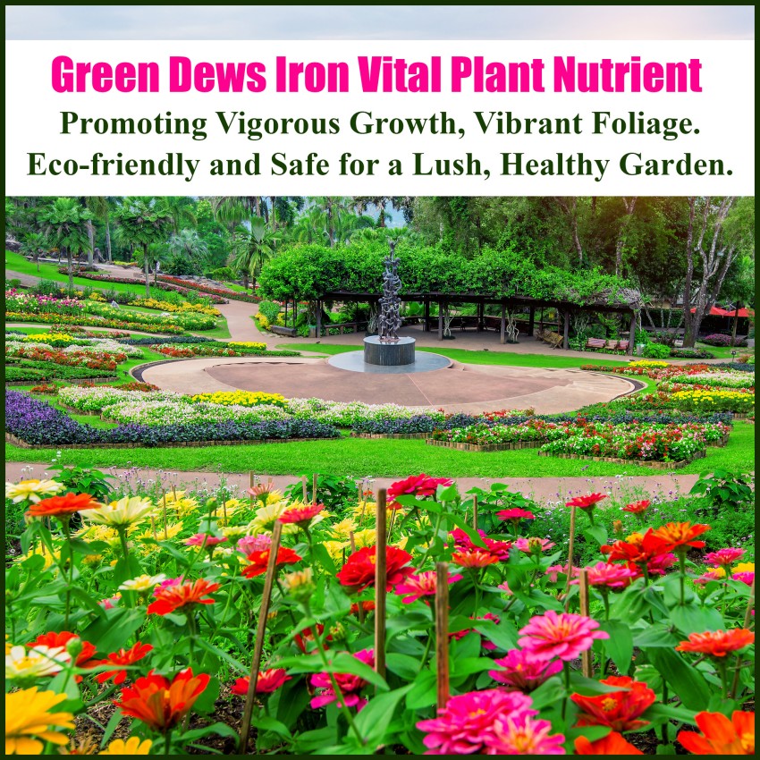Green Dews Organic Iron Fertilizer