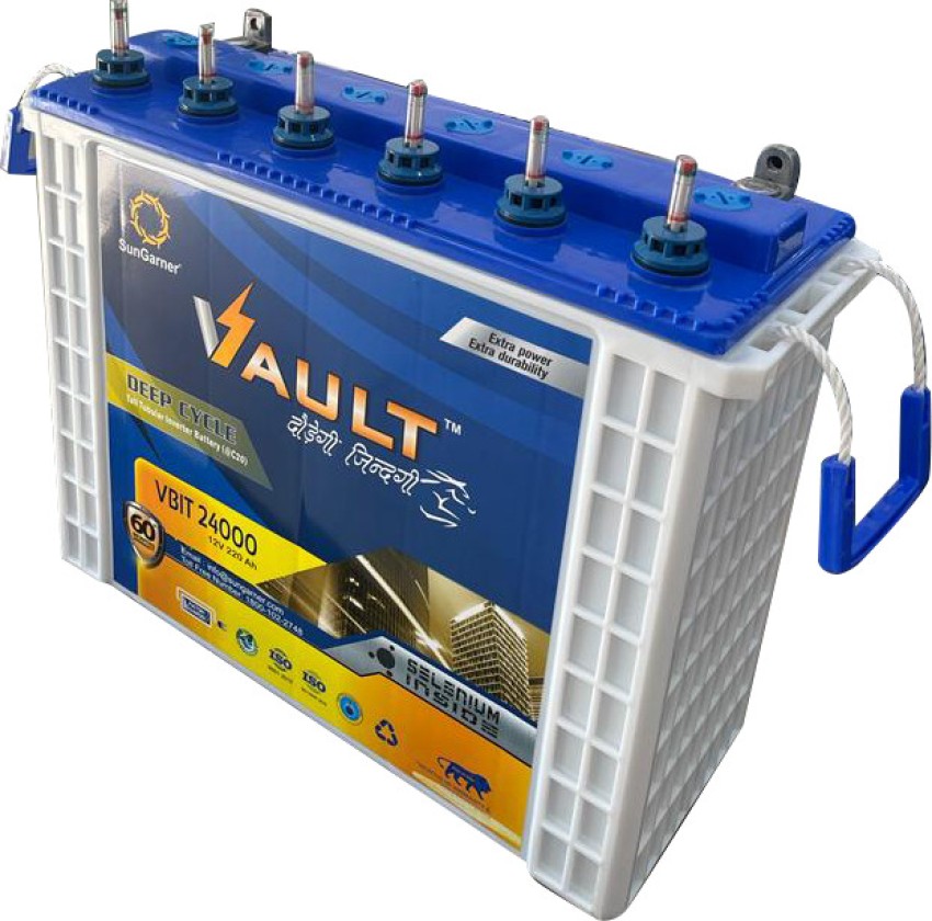 Cellsafe Auto Pulse Battery Desulfator to Revive and Regenerate the Lead  Acid Batteries Lithium Solar Battery Price in India - Buy Cellsafe Auto  Pulse Battery Desulfator to Revive and Regenerate the Lead Acid Batteries  Lithium Solar Battery online at