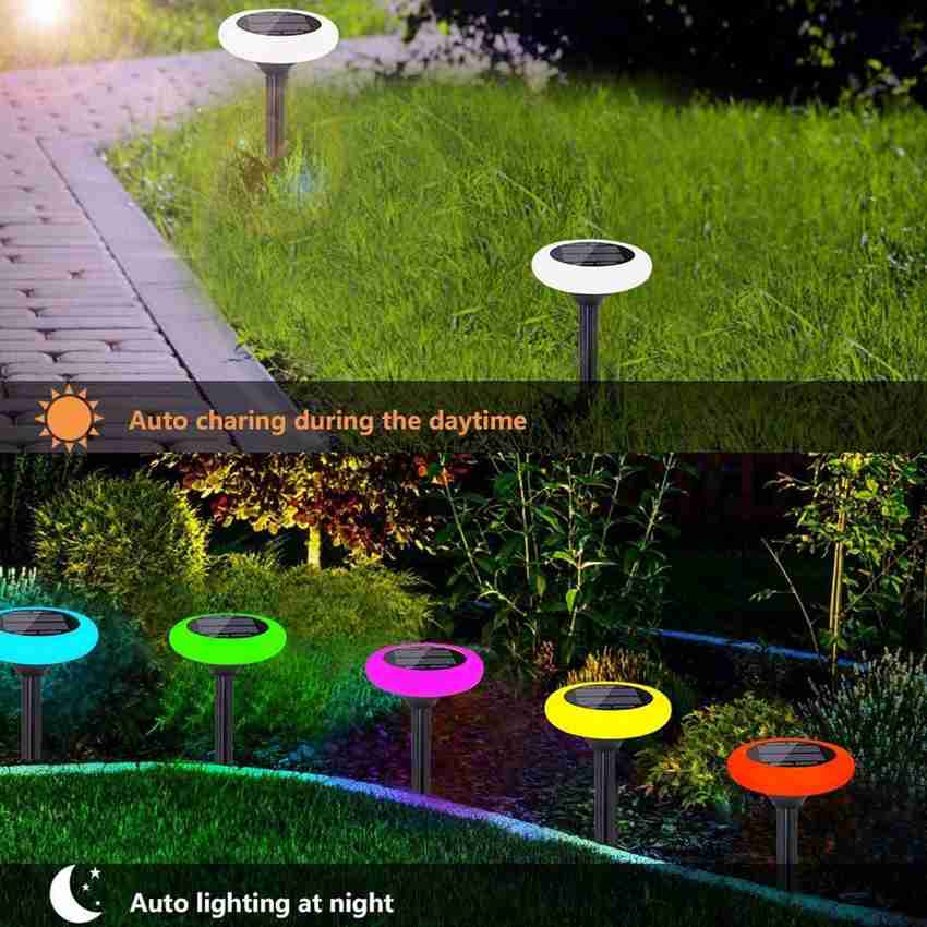 Colorize lights store