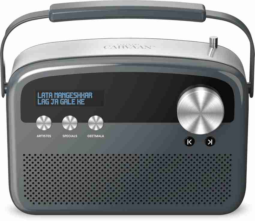 Buy SAREGAMA Carvaan Lite Hindi Bluetooth Speaker with 3000 pre